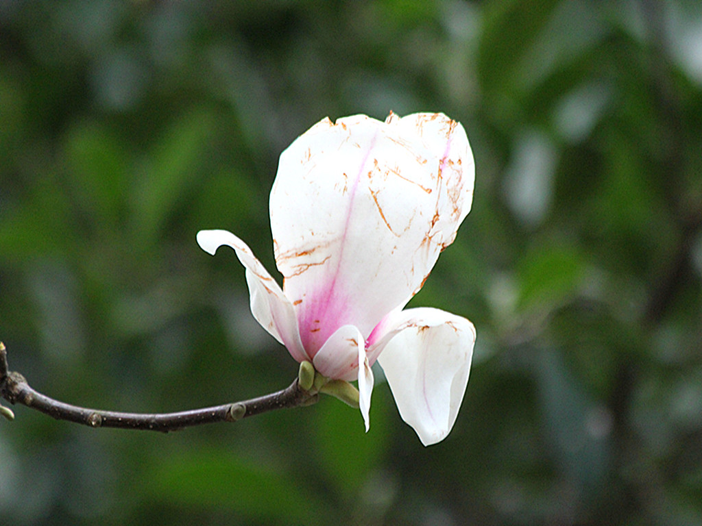 IMG_5626_副本.jpg