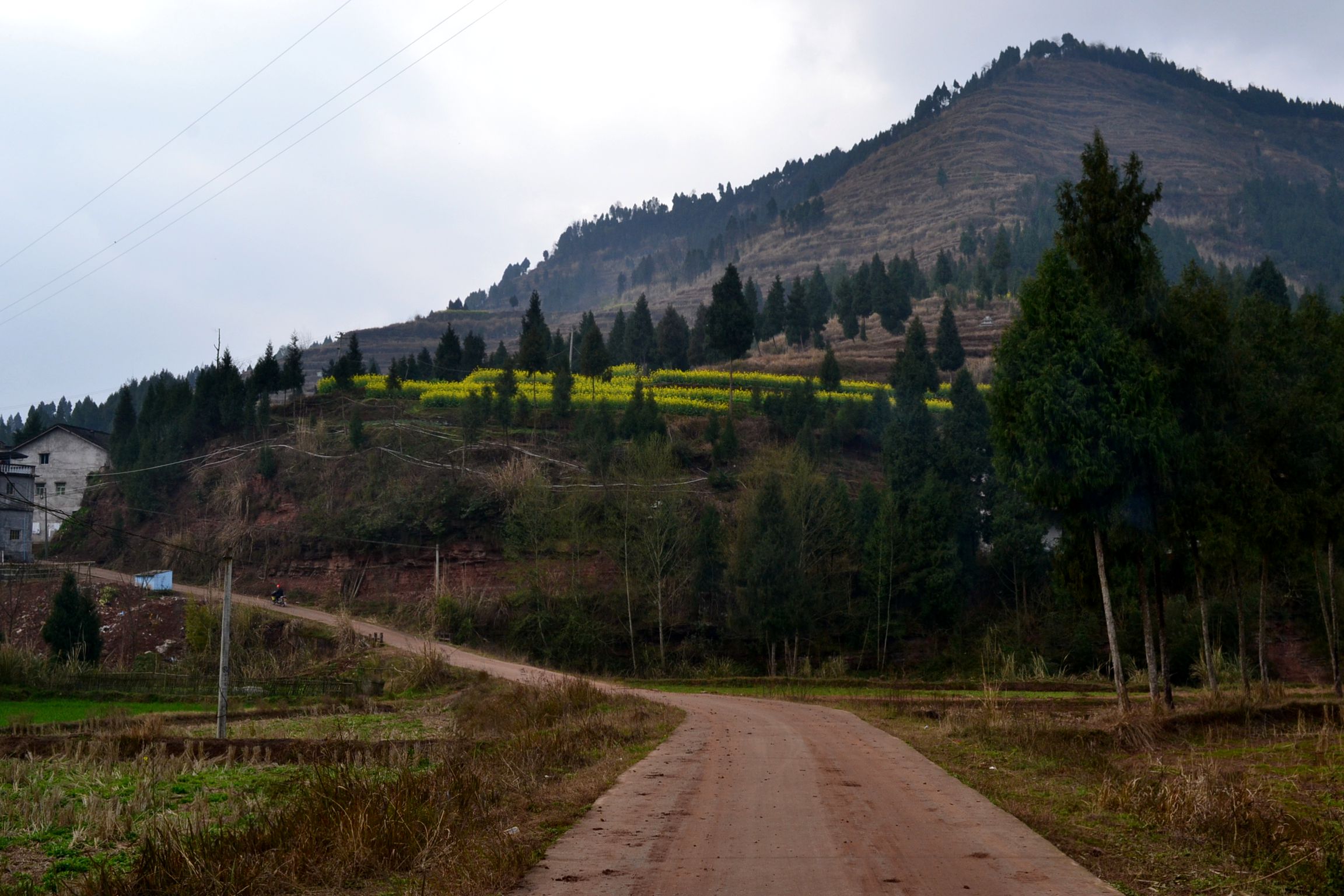 DSC_1463.JPG