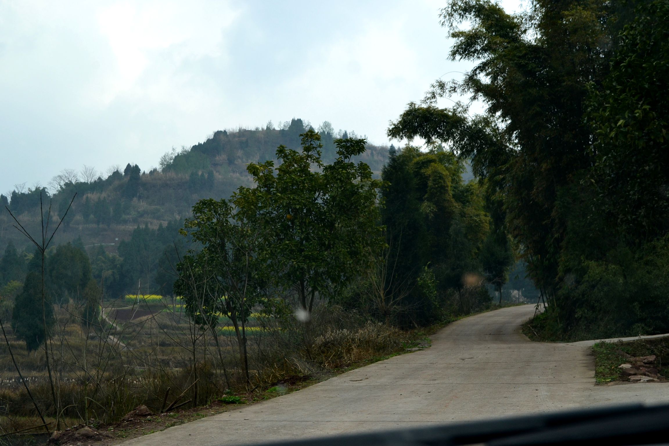 DSC_1514.JPG