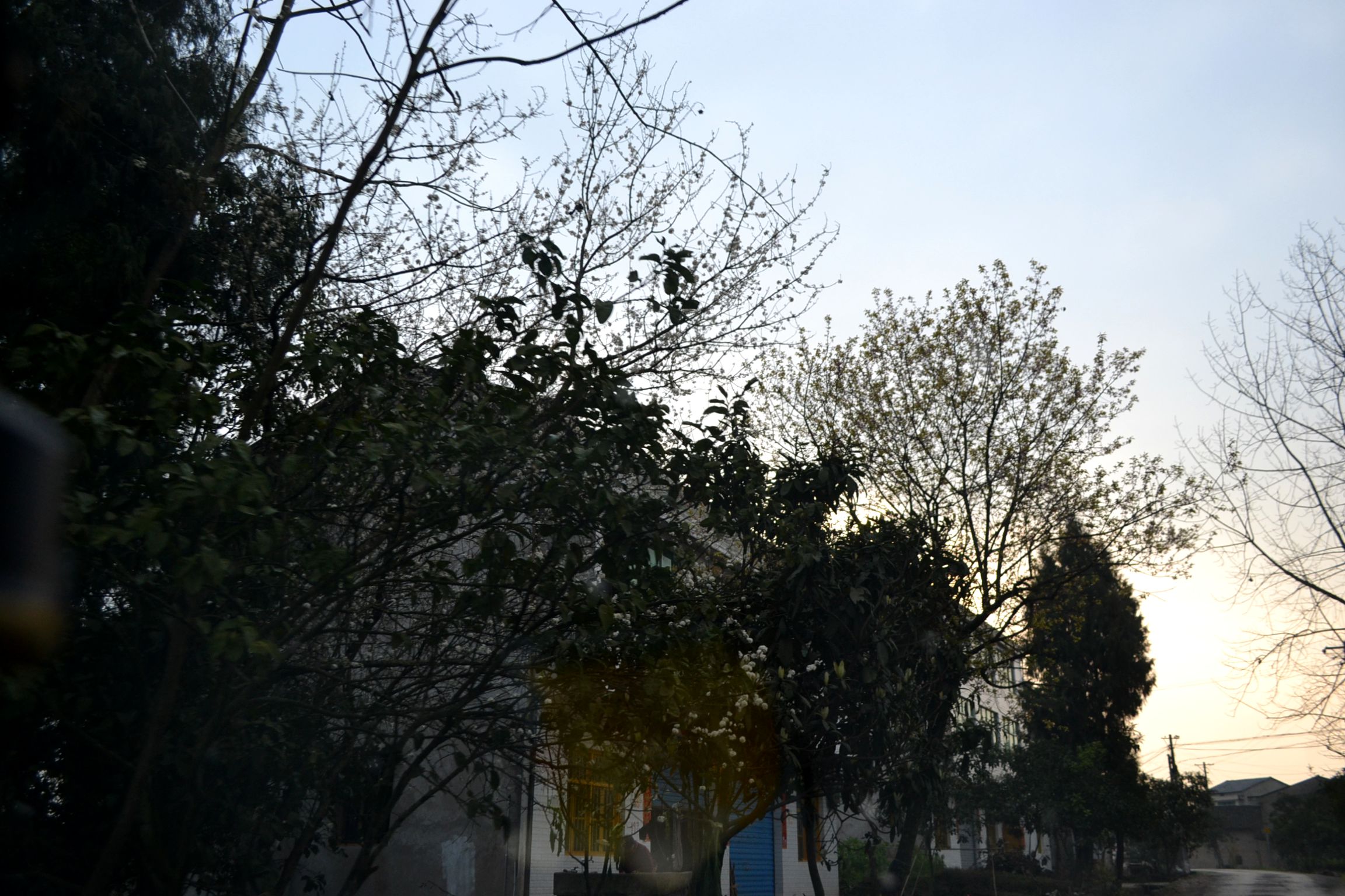 DSC_1549.JPG
