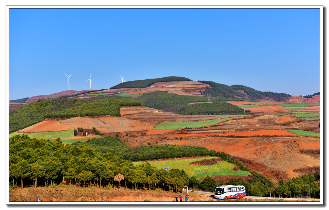 火红的土地,炫目的色彩-《东川红土地》-营山论坛-麻辣社区 四川第一