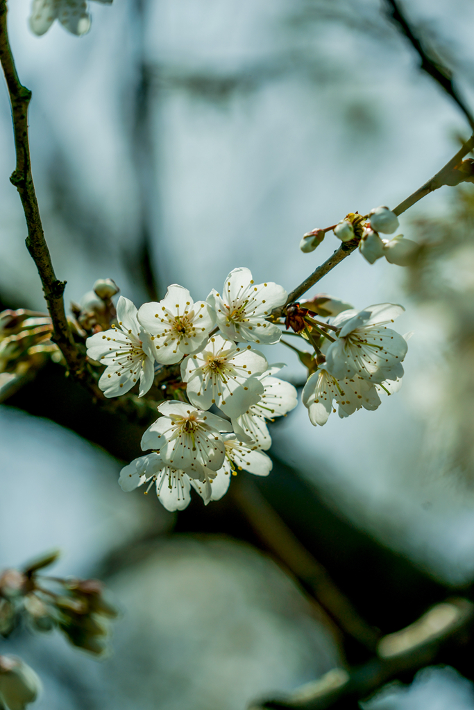 _DSC6740_1.jpg