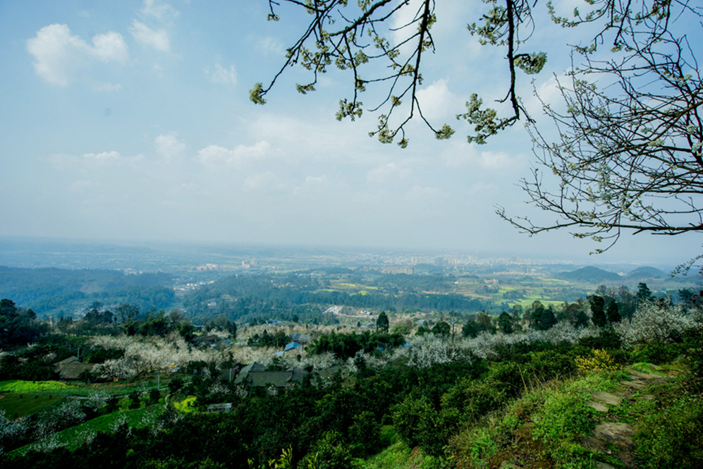 _DSC7068.jpg