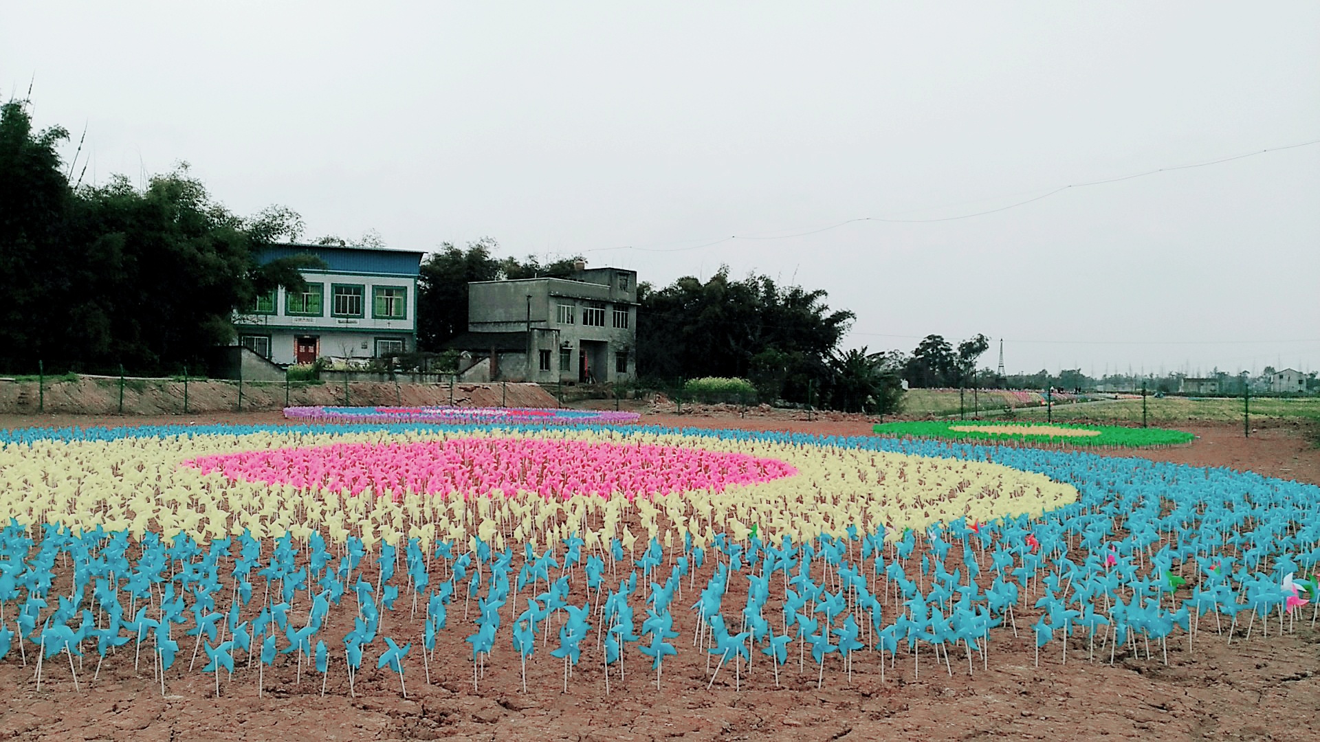 普润镇蝶恋花,美美的-隆昌论坛-麻辣社区
