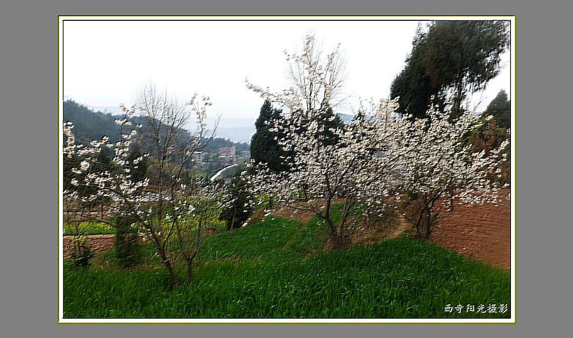 DSCF7499__.jpg