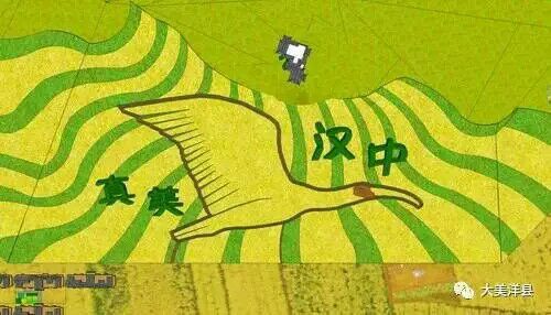 QQͼƬ20170307113351.jpg