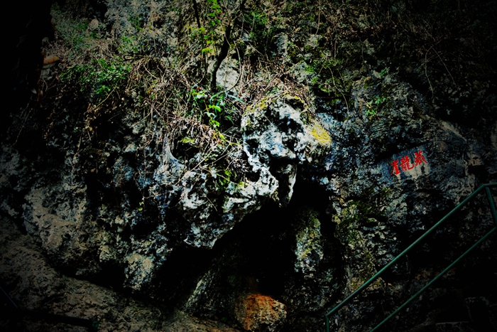 DSC_0566__.jpg