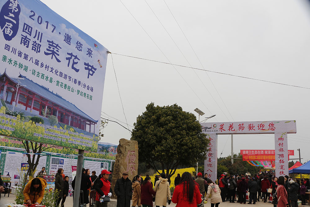 _MG_7240.jpg