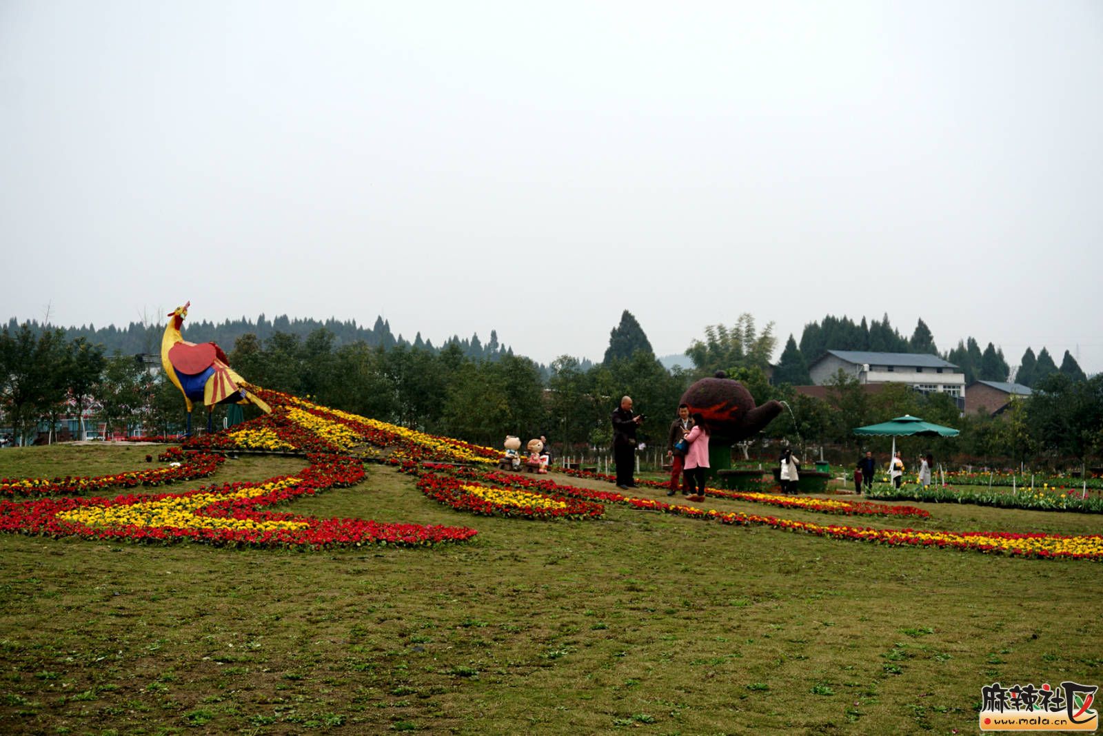 090837r431x5up4r7j5j33.jpg