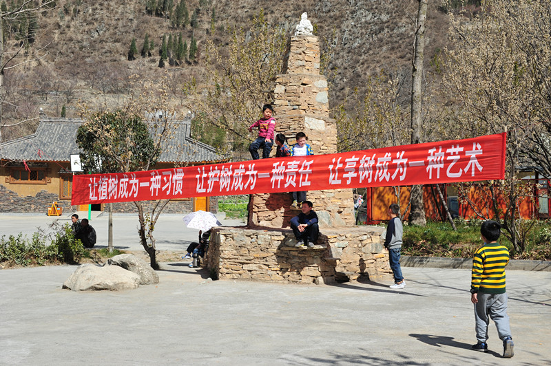 20131.jpg