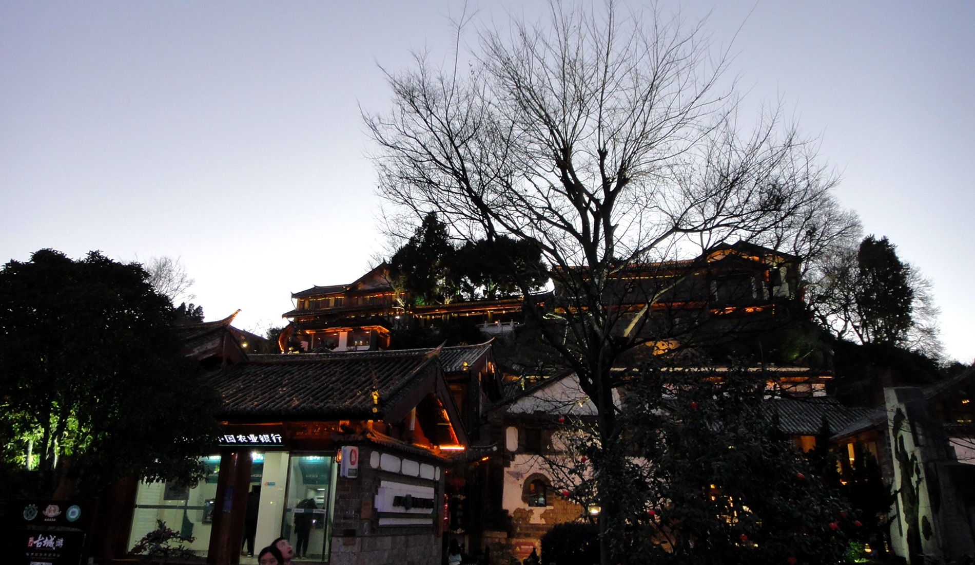 DSC08233.JPG