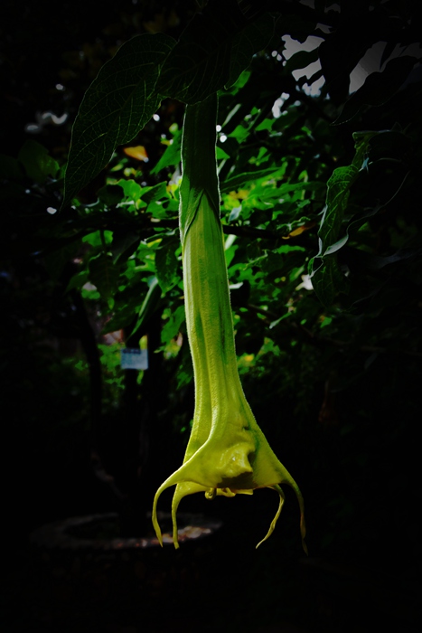DSC_0623_.jpg