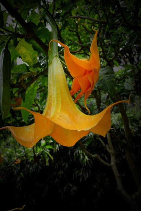 DSC_0646_.jpg