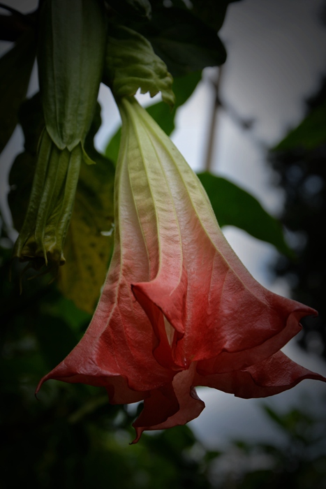 DSC_0655_.jpg