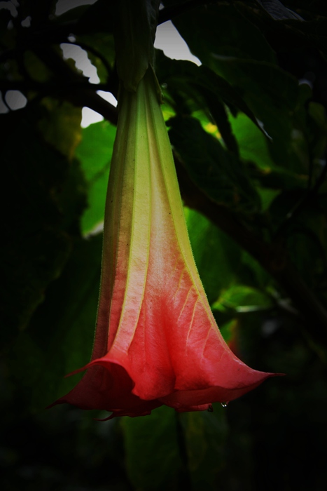 DSC_0664_.jpg