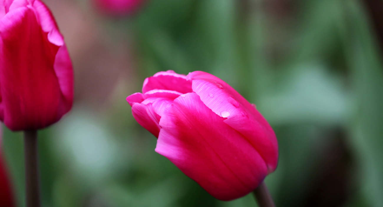 S98A0333_.jpg