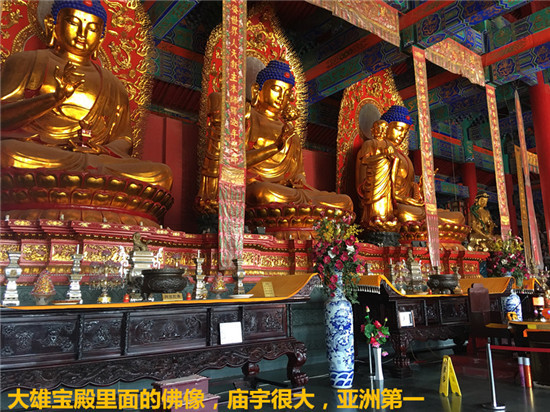221033il2an3xacaajr335.jpg