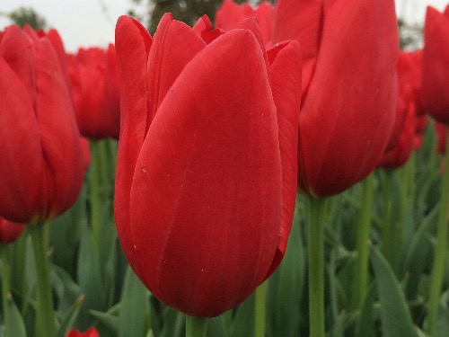IMG_7127.JPG
