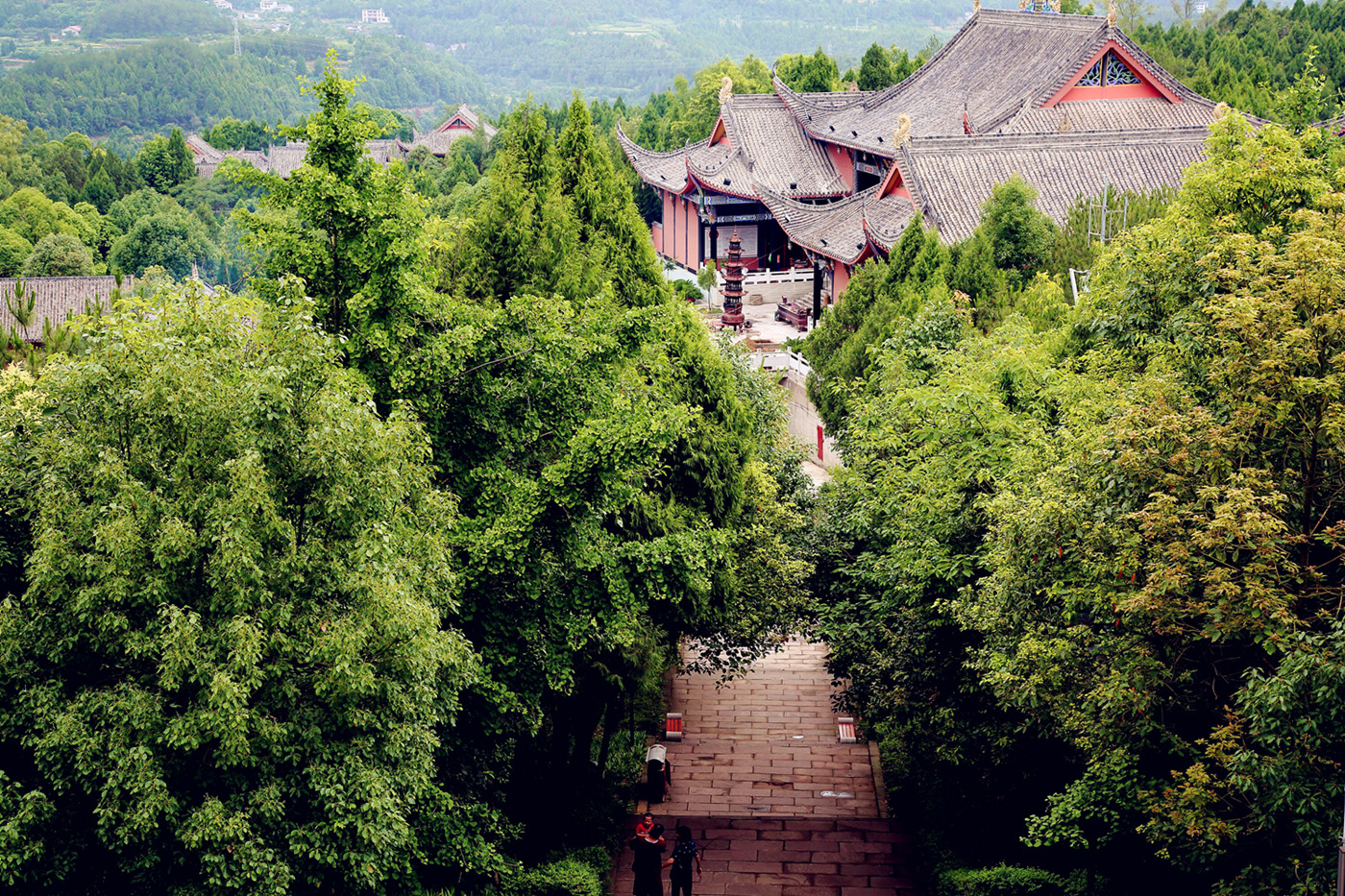 我们恩阳的邻居