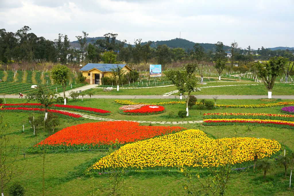 南充锦绣田园风景区图片