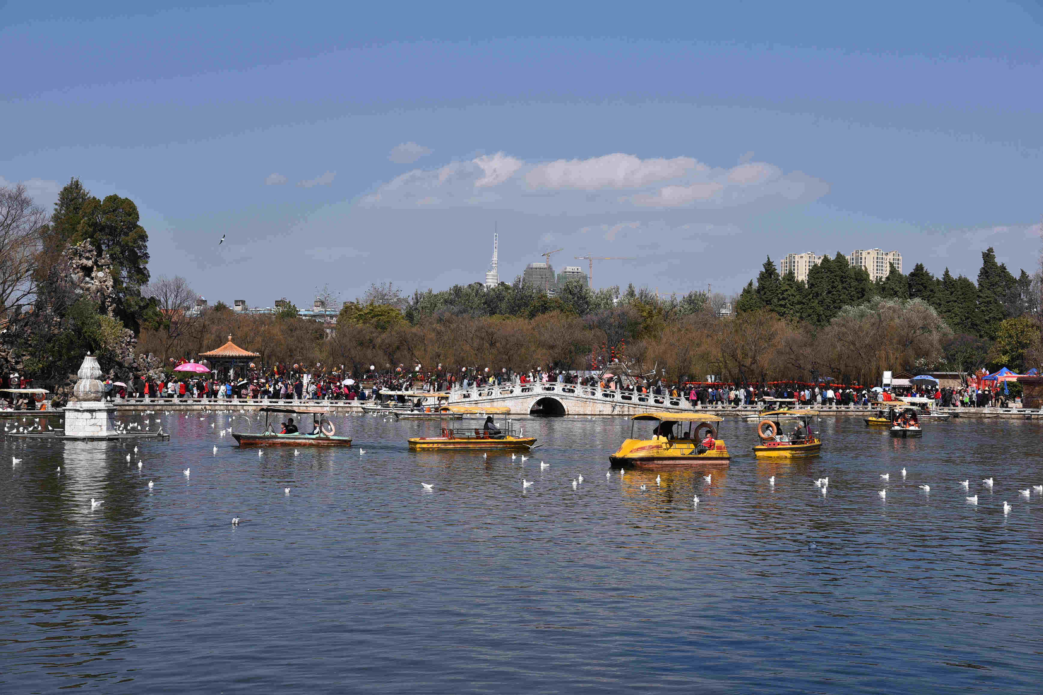 DSC_6666.JPG