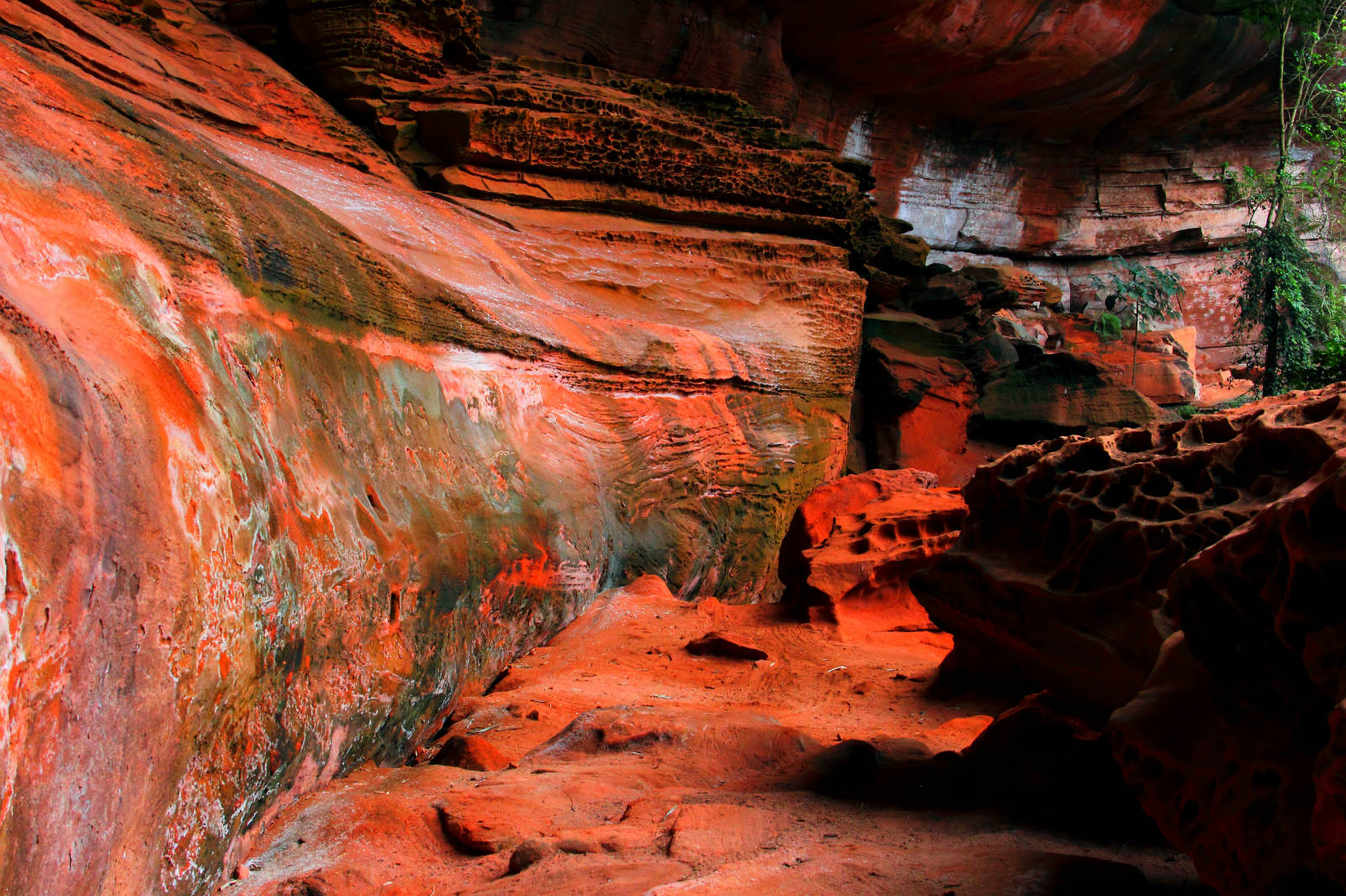 3月赤水之行 · 红石野谷篇【已上麻辣社区首页】