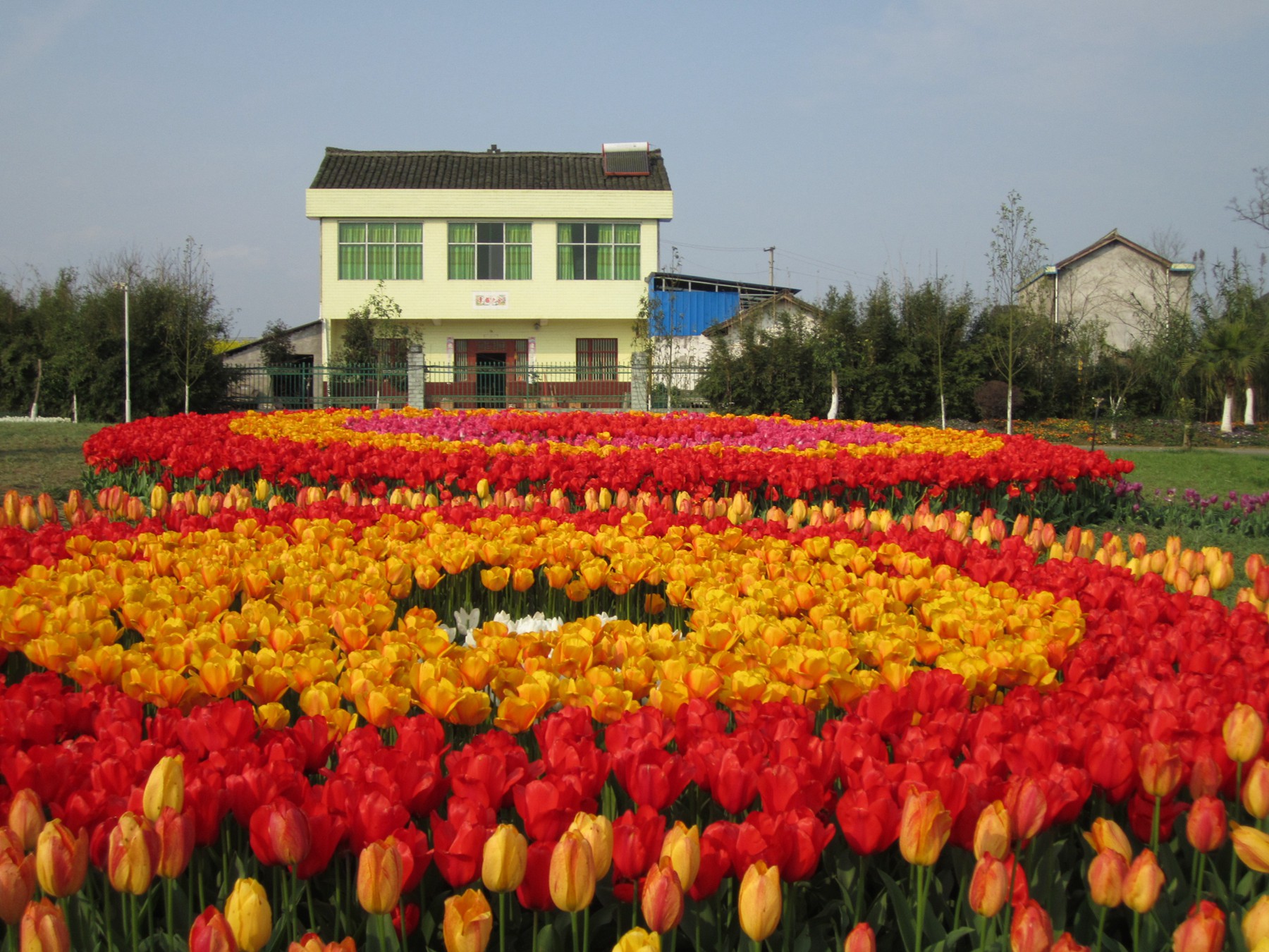 南充锦绣田园风景区图片