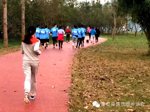 6518632.jpg
