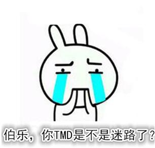151237baxbpxwmpllkmcbx.jpg