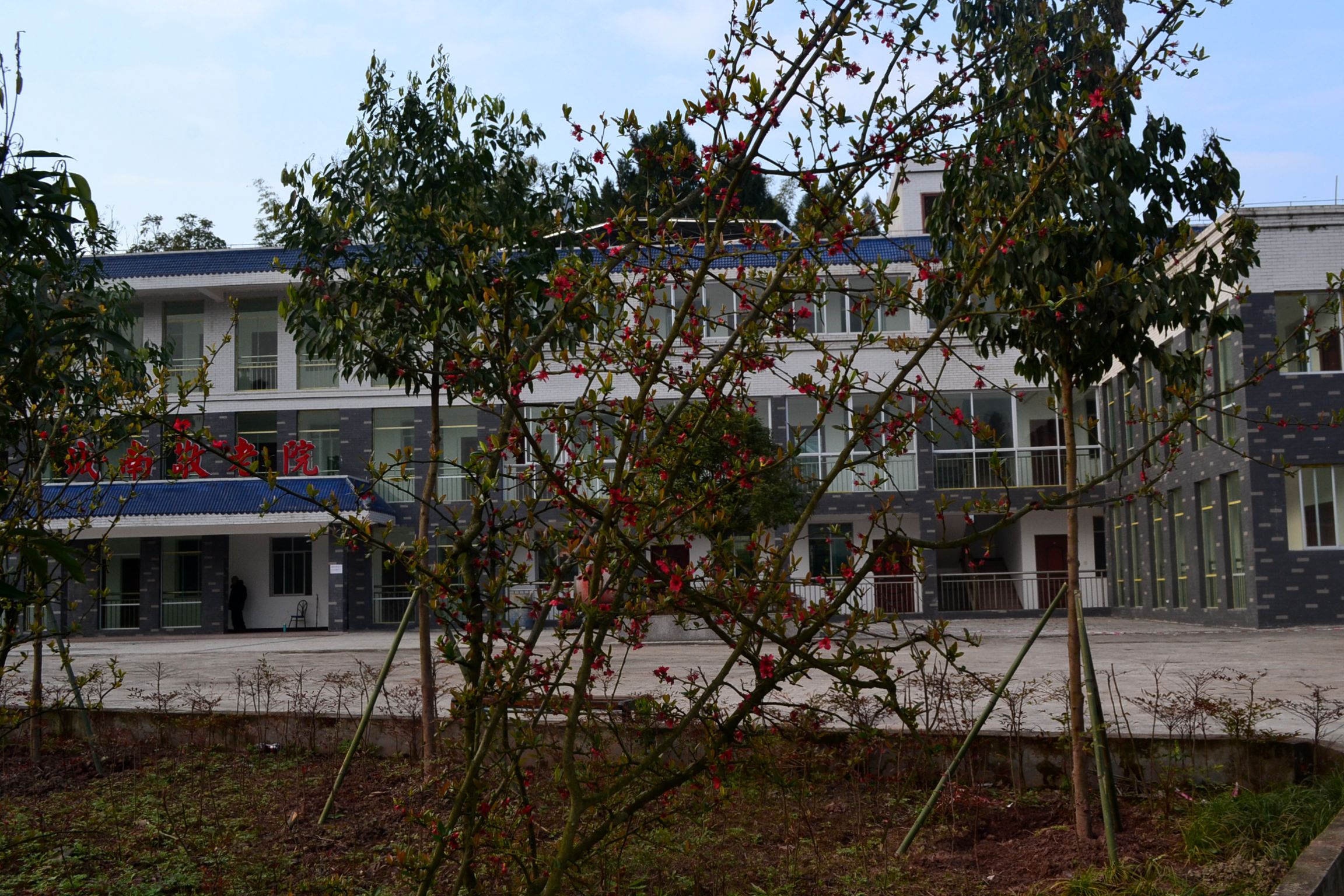 DSC_1855.JPG