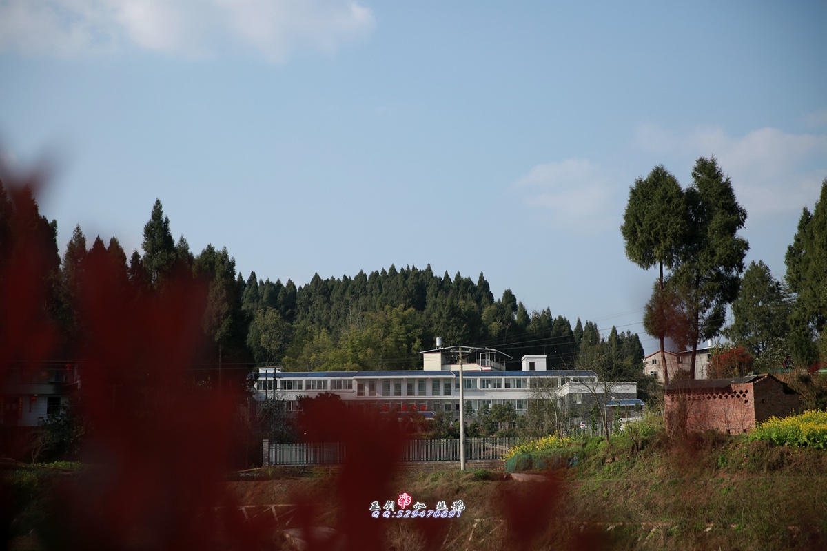 5L8A2774 - .JPG
