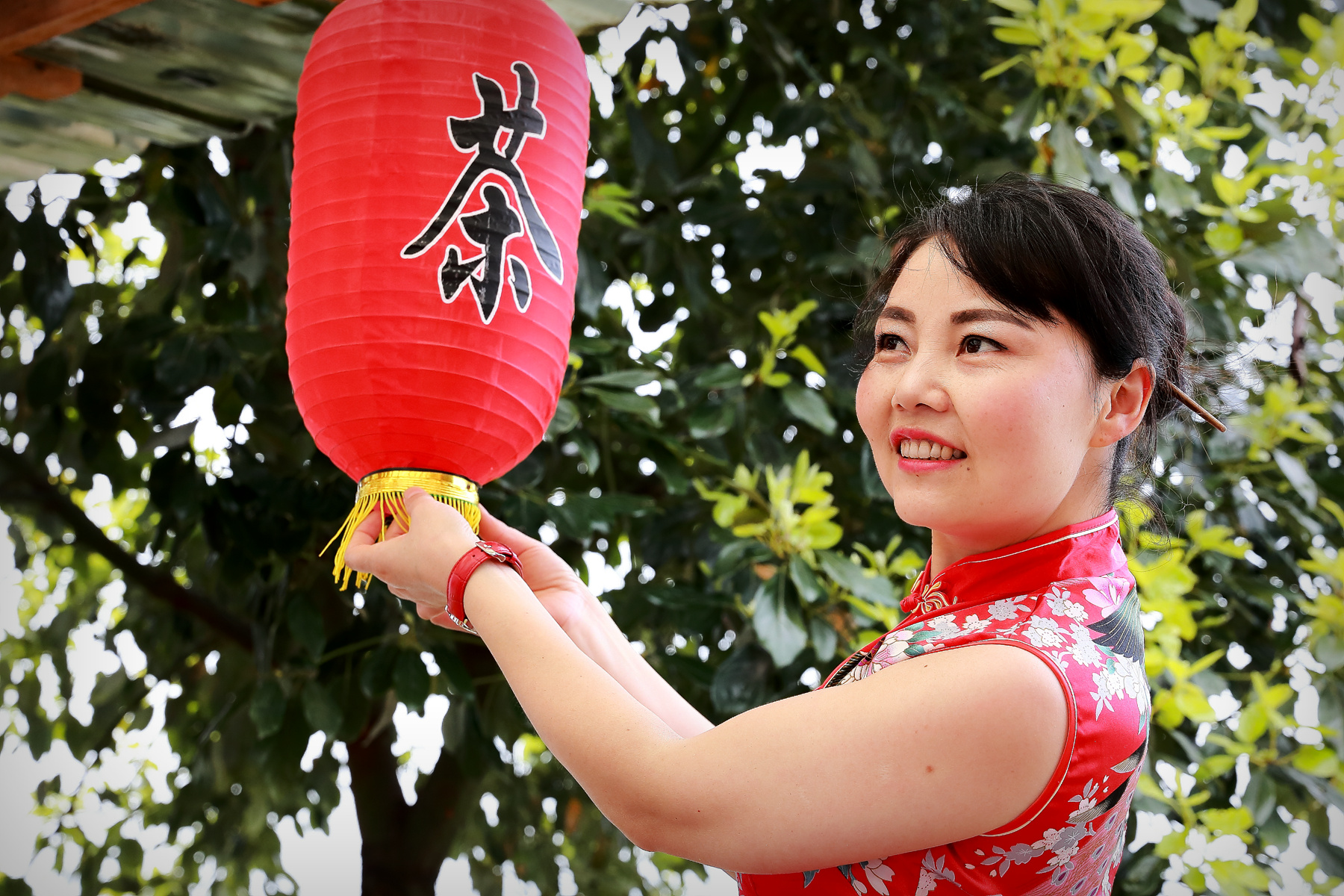 四川哪里的女人最漂亮图片