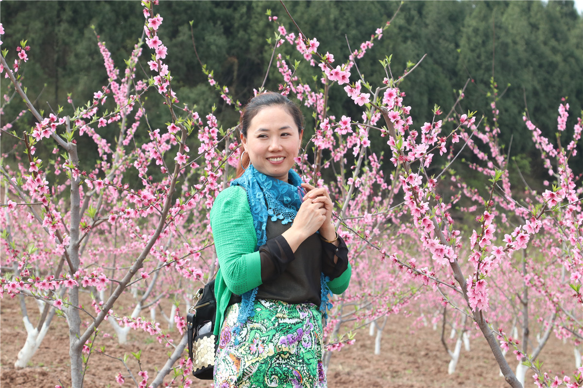 西充古楼:元斗桃园新基地 迎来美女赏桃花(自拍