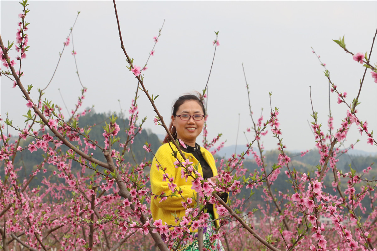 西充古楼:元斗桃园新基地 迎来美女赏桃花(自拍