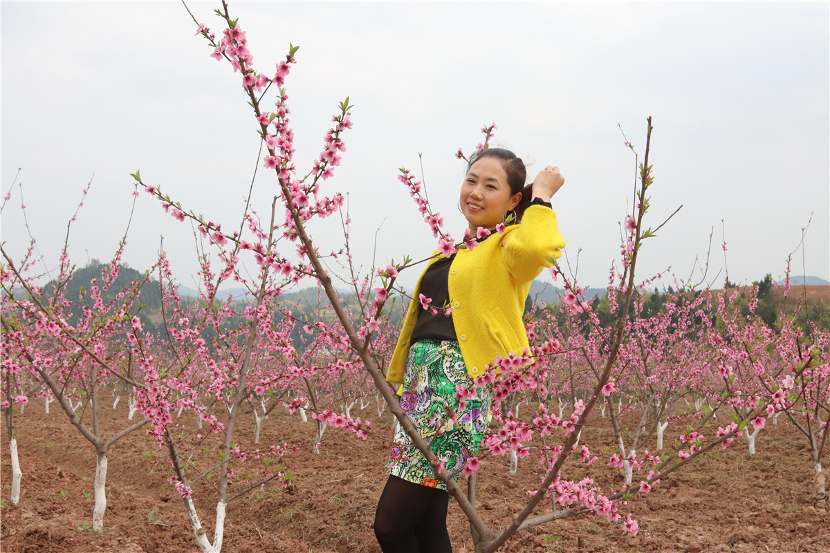 西充古楼:元斗桃园新基地 迎来美女赏桃花(自拍