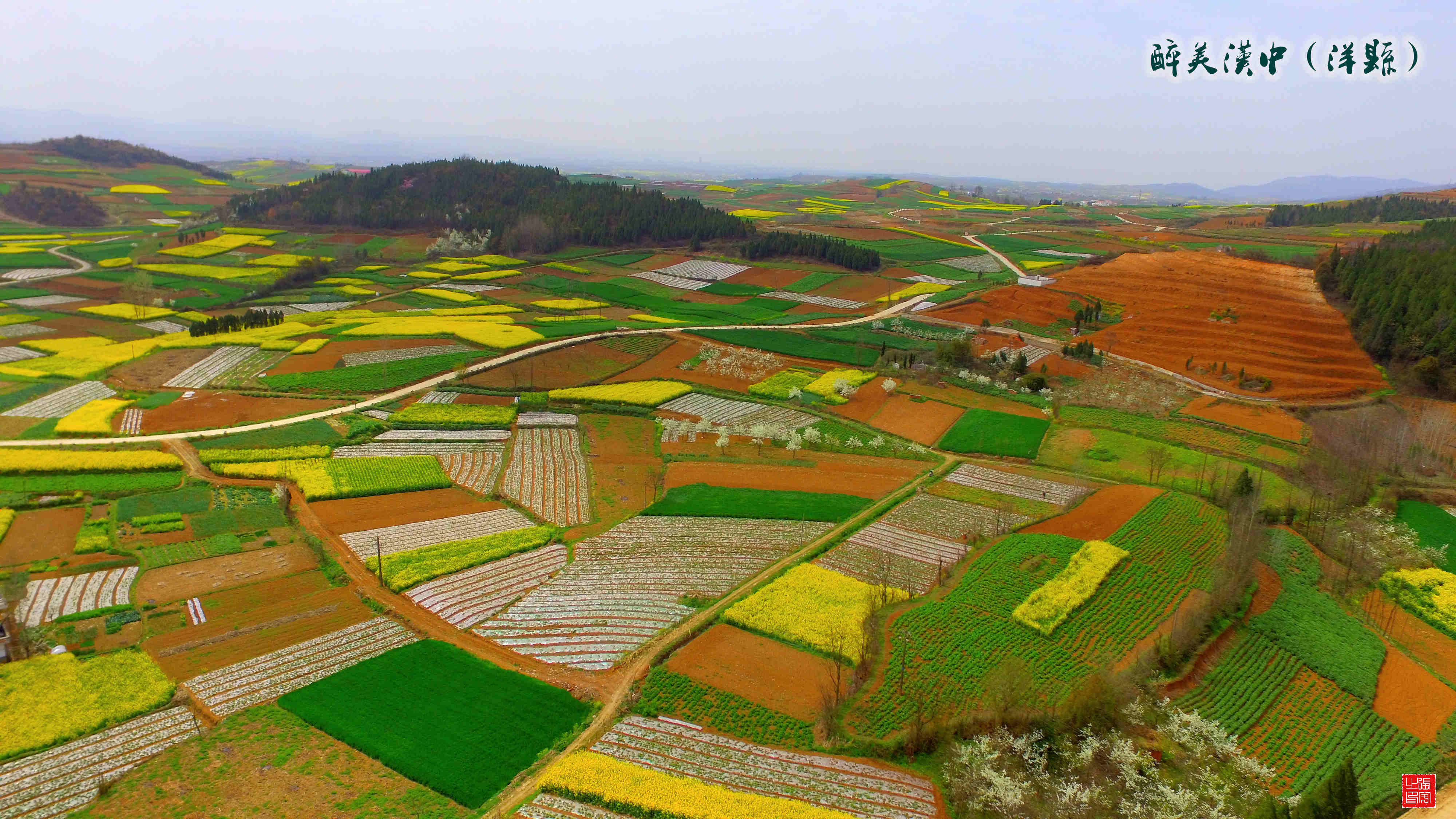 DJI_0041_.jpg