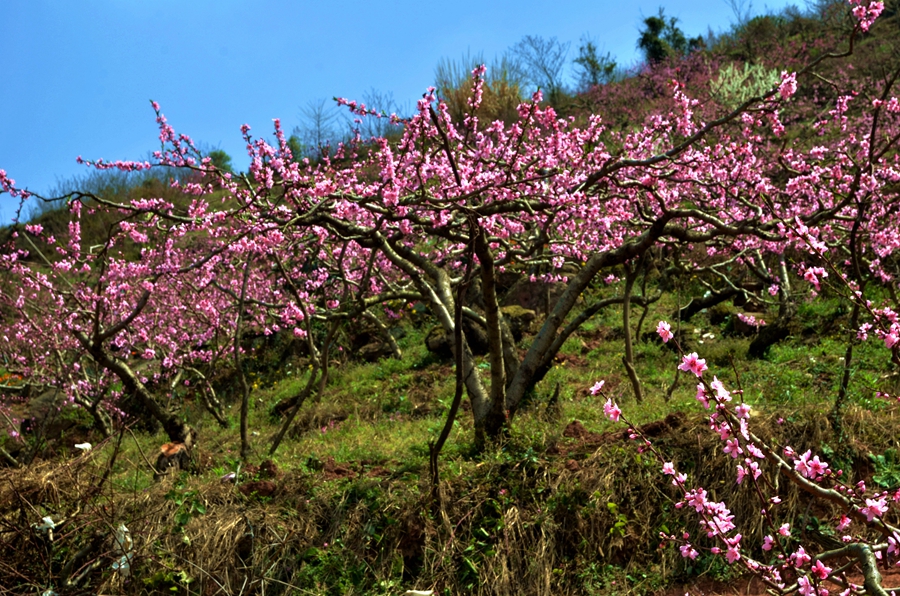 DSC_1943.JPG