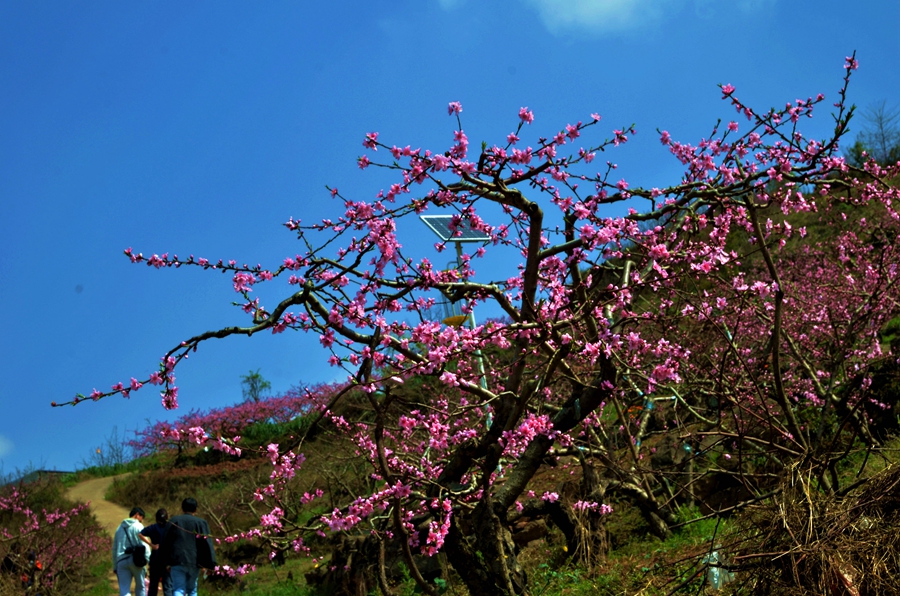 DSC_1944.JPG