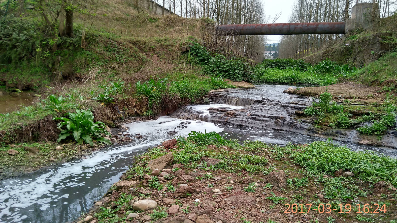 163452hkbcvkkmmnokvmfx.jpg