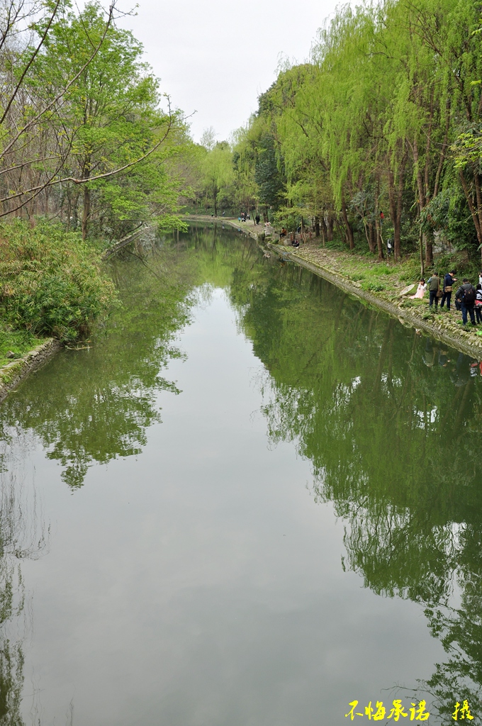 如烟杨柳青青岸