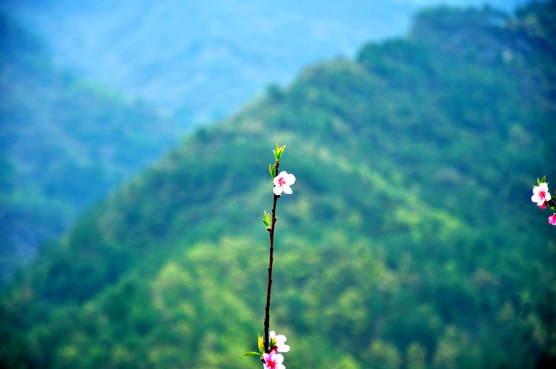 DSC_8283_.jpg