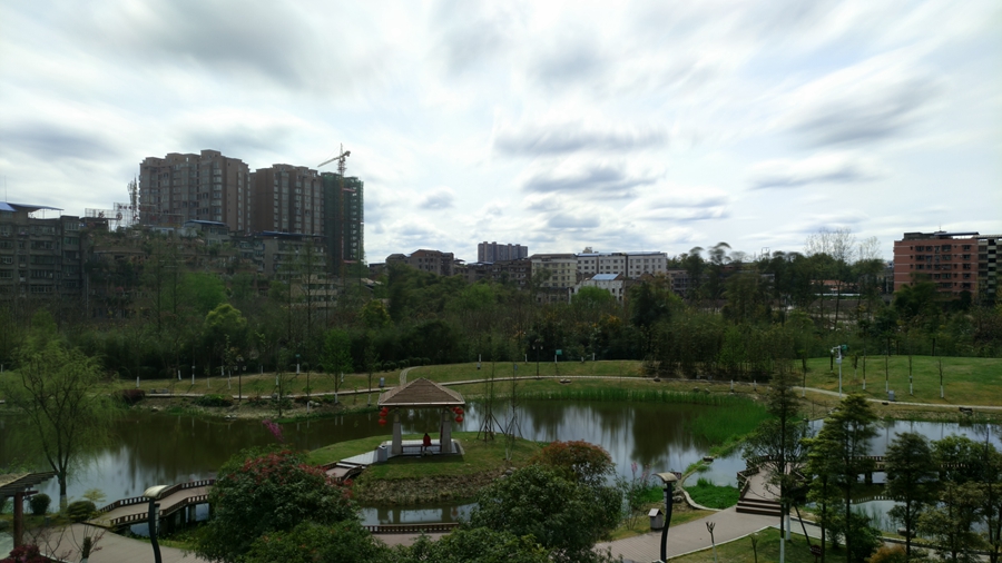 IMG_20170330_140031.jpg