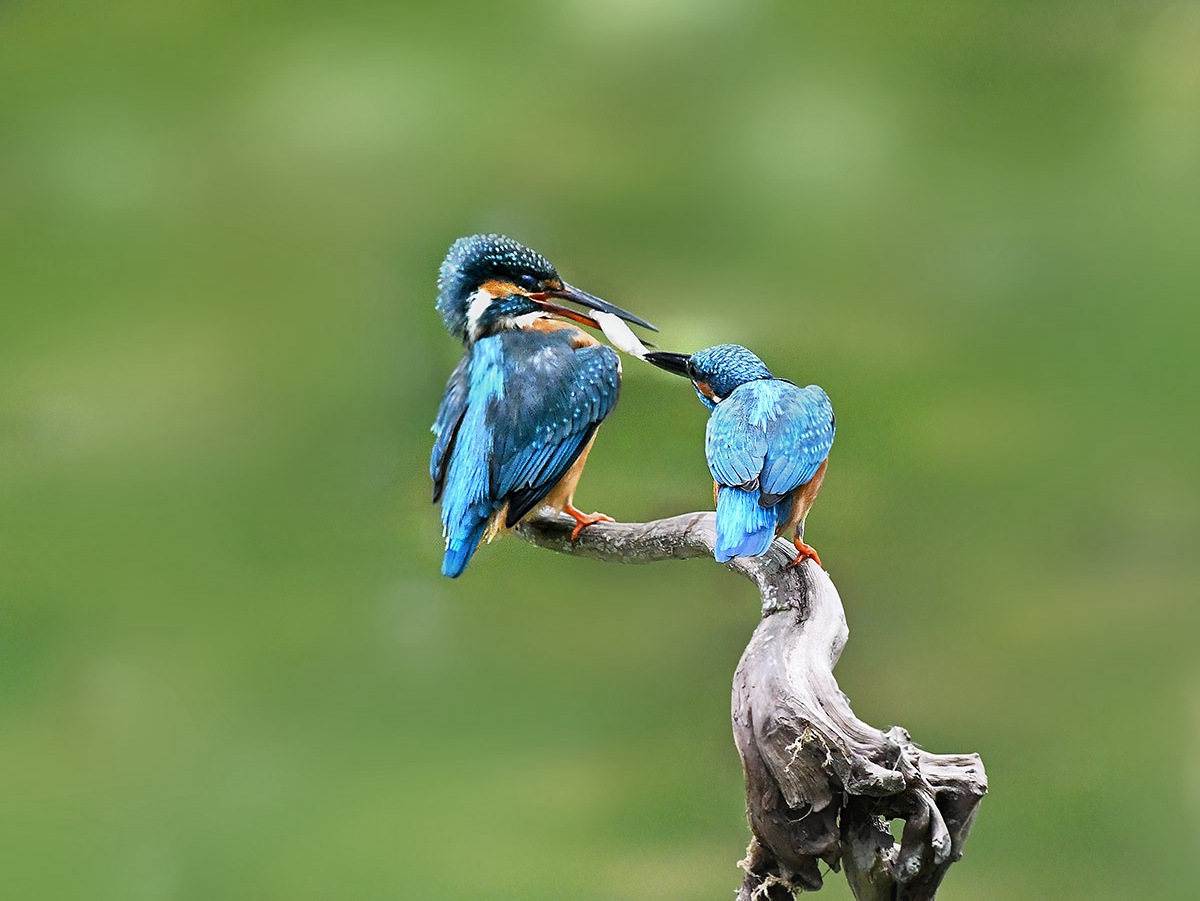 DSC_3449.JPG
