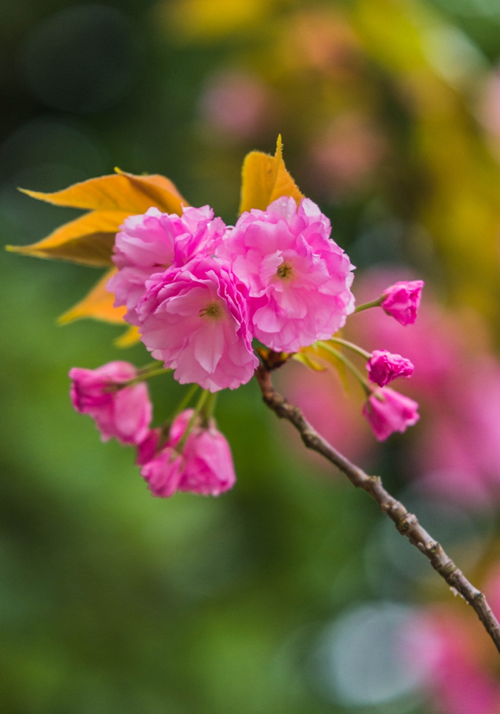 DSC_3459.jpg