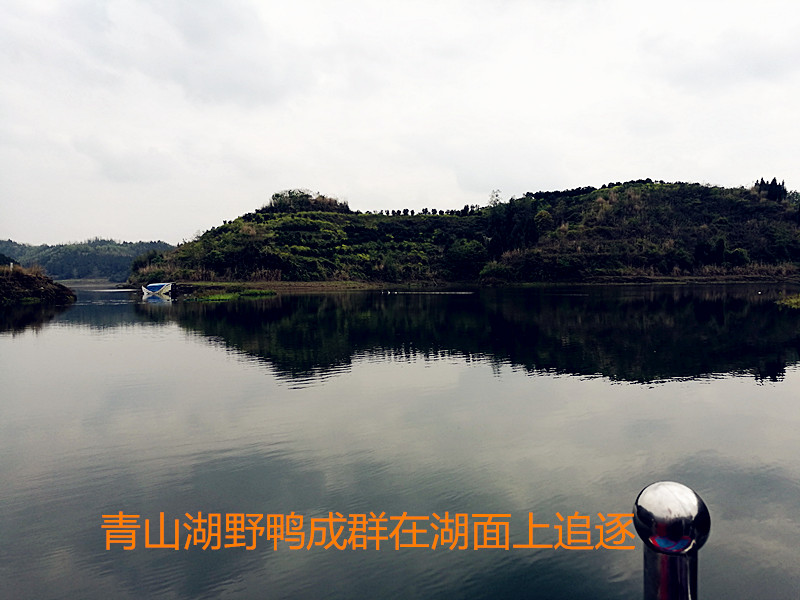 IMG_20170404_155357_.jpg