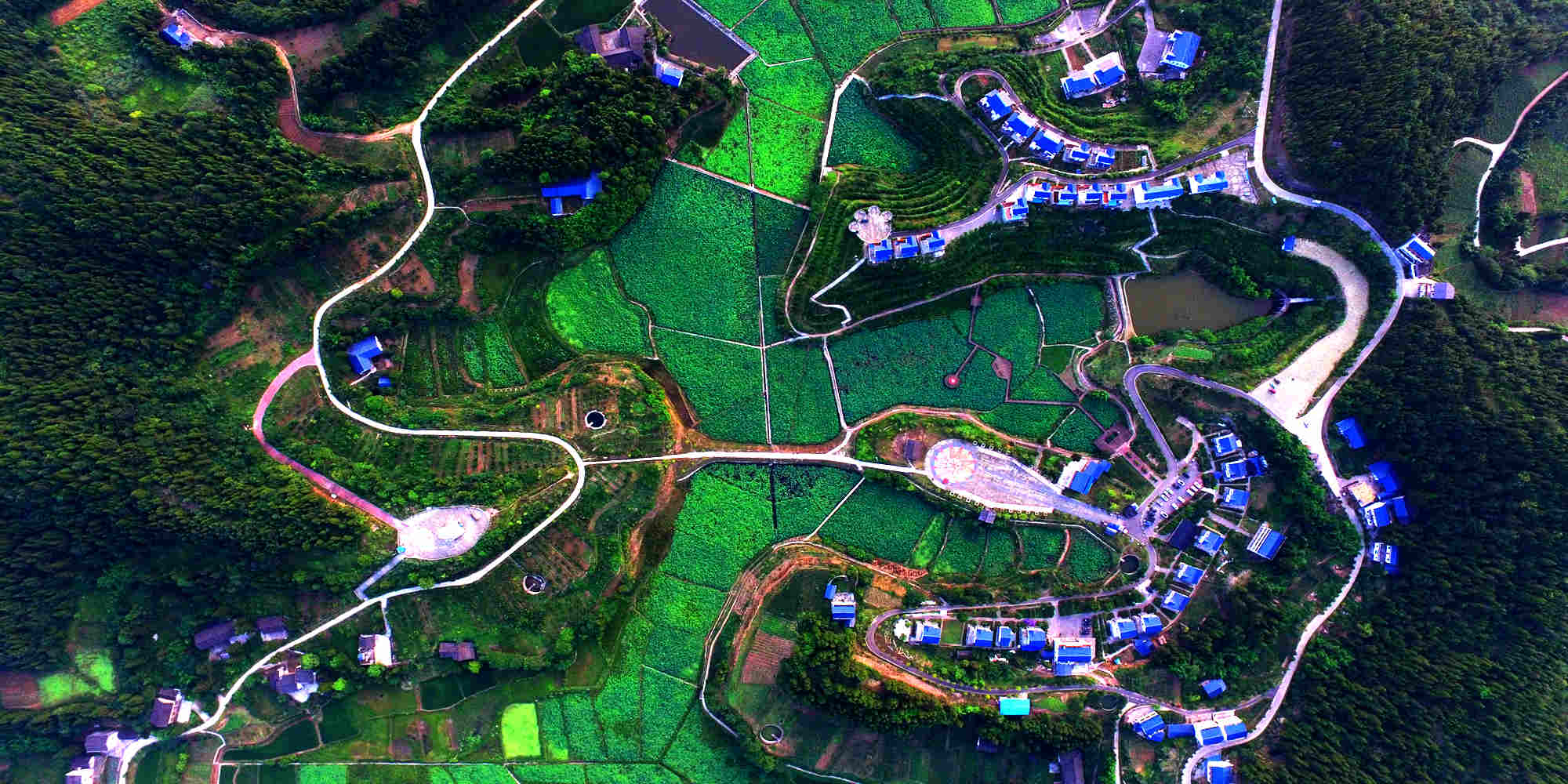 DJI_0005_.jpg