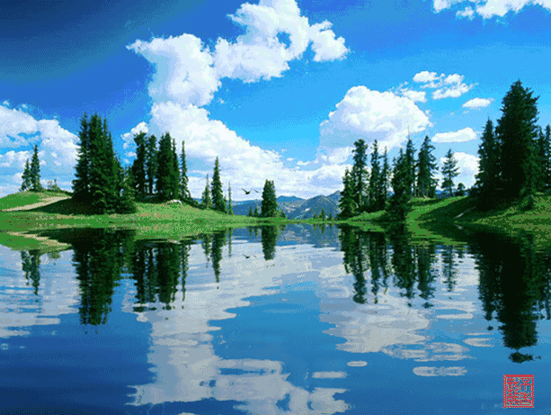 mmexport1490313153005.gif