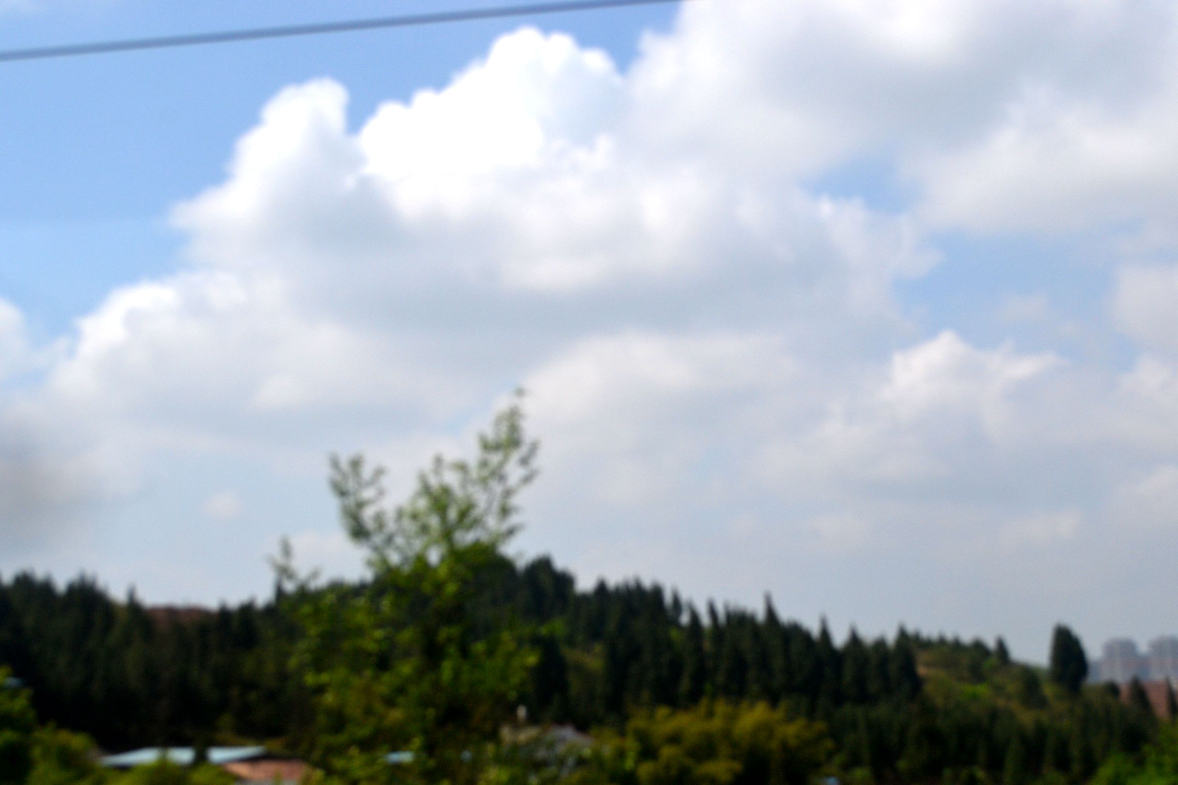 DSC_1976.JPG