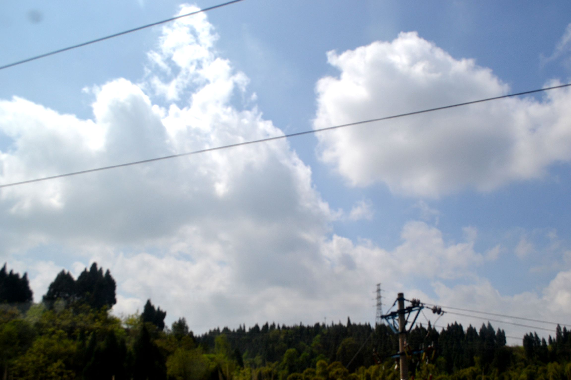 DSC_1992.JPG