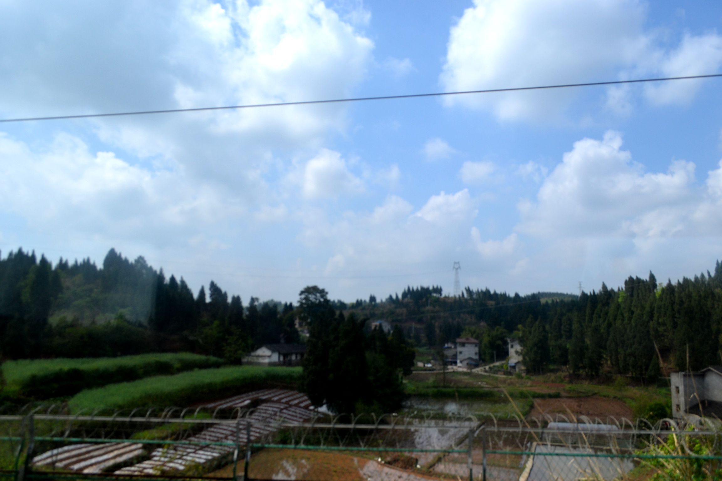 DSC_1993.JPG